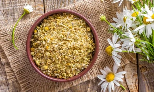 The Many Beauty Benefits of Chamomile