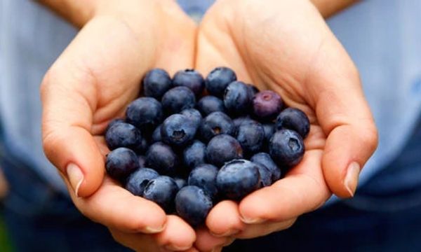 The Power of Blueberry Extract in Cosmetics